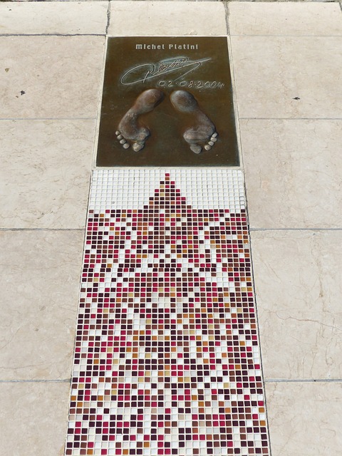 立下了汗馬 立下了汗馬