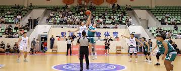 整体水平的 整体水平的