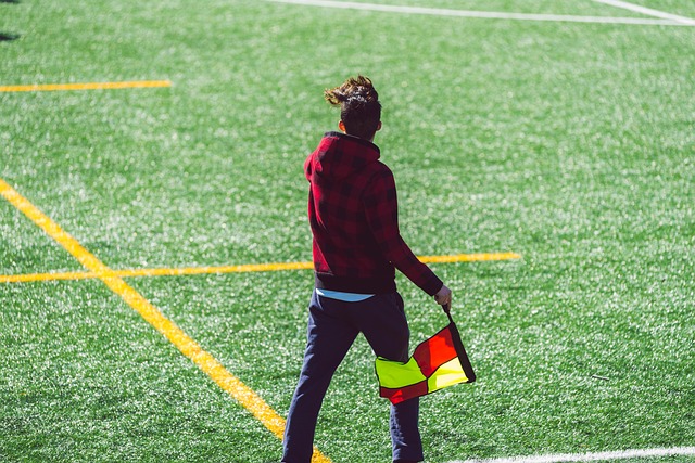 文化和竞技 文化和竞技