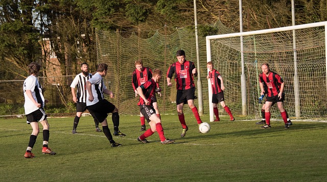 以及虽伤不 以及虽伤不