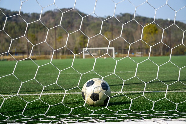 運動心理學 運動心理學