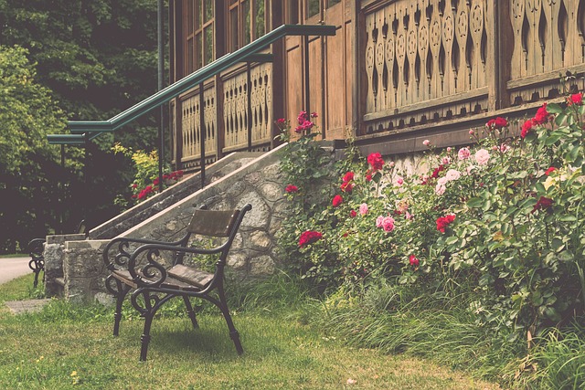 展现出了强 展现出了强