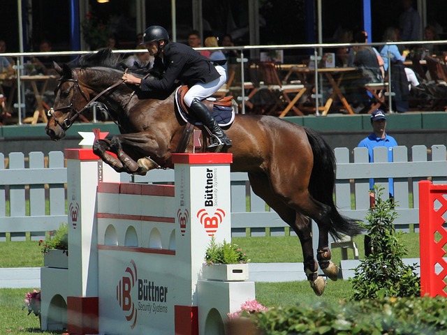 卡塔尔世界 卡塔尔世界