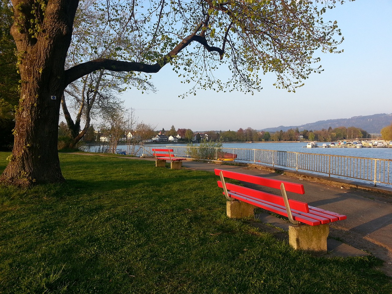 逮捕的细节 逮捕的细节